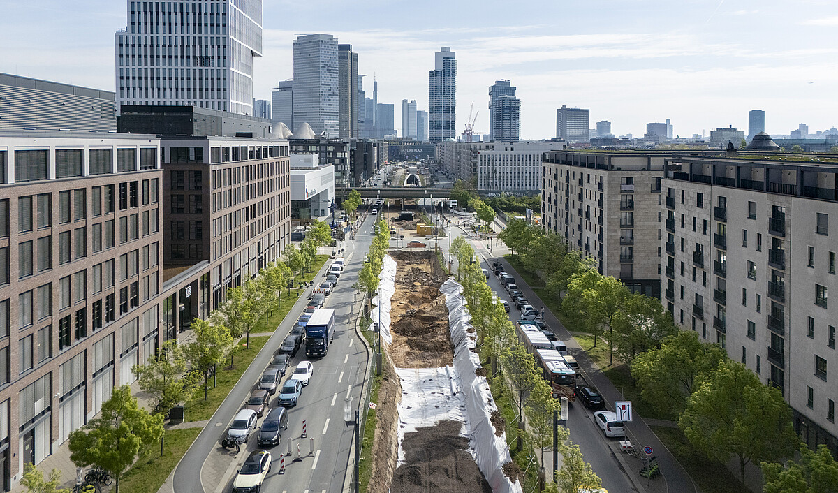 Sbev Europa-Allee: Stemmarbeiten auf Höhe der Europa-Allee 71-81 | SBEV ...